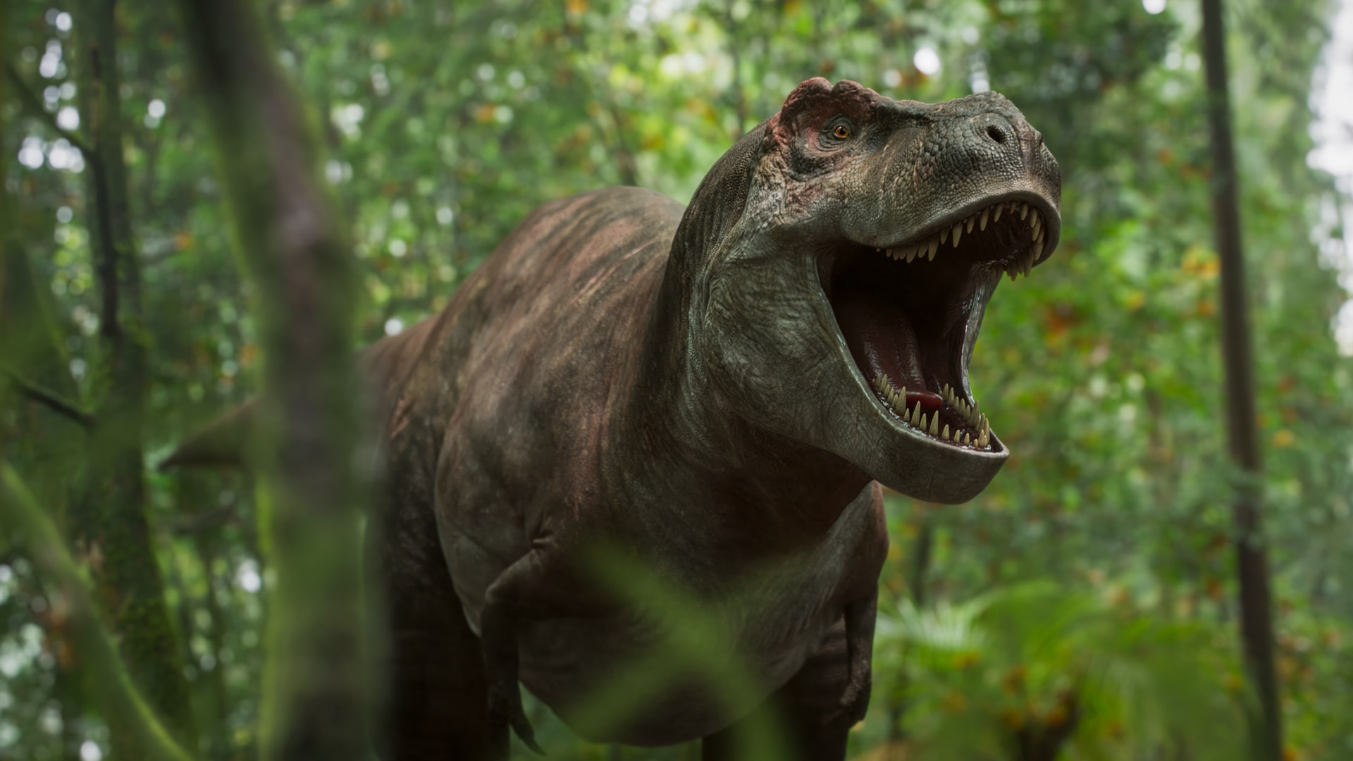 dinosaur image